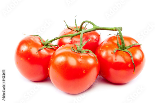 Branch of fresh tomatoes on white background.