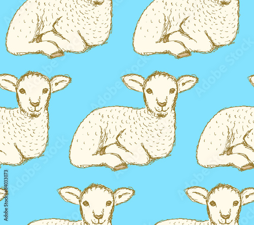 Sketch cute lamb in vintage style