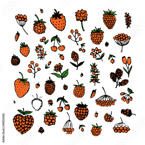 Berries collection, sketch for your design