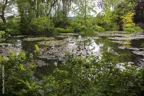 Fotografia Pond, trees, and waterlilies in a french garden