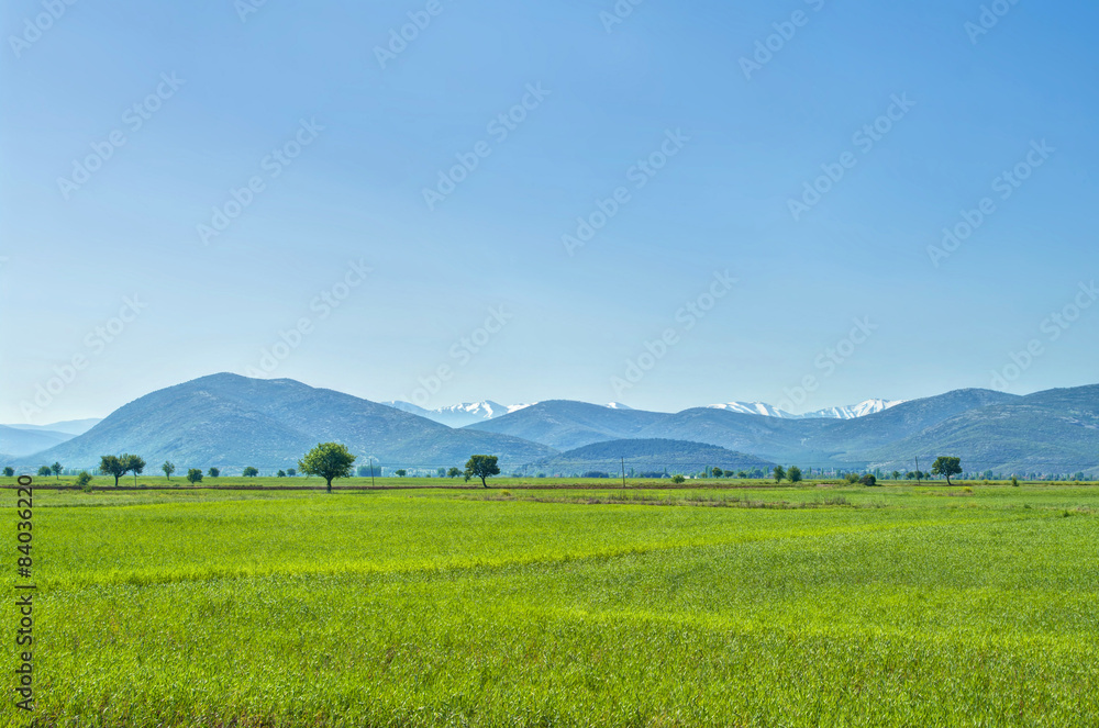 view of green field in mountains
