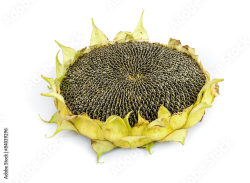 Sunflower Seeds.
