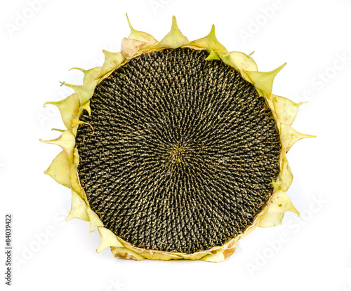 sunflower seeds.