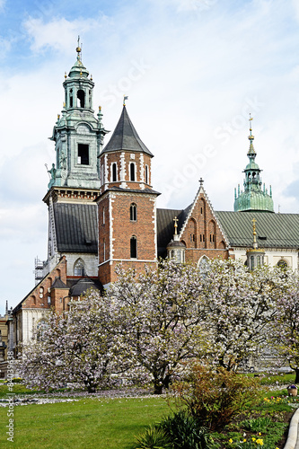 Polen, Innenhof des Schlosses mit Kathedrale in Krakau #84039638