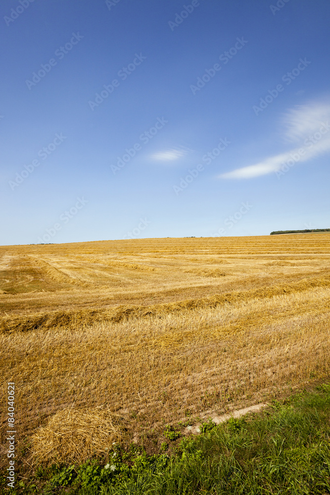 agriculture agriculture