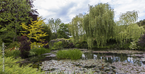 Fototapeta Pond, trees, and waterlilies in a french garden