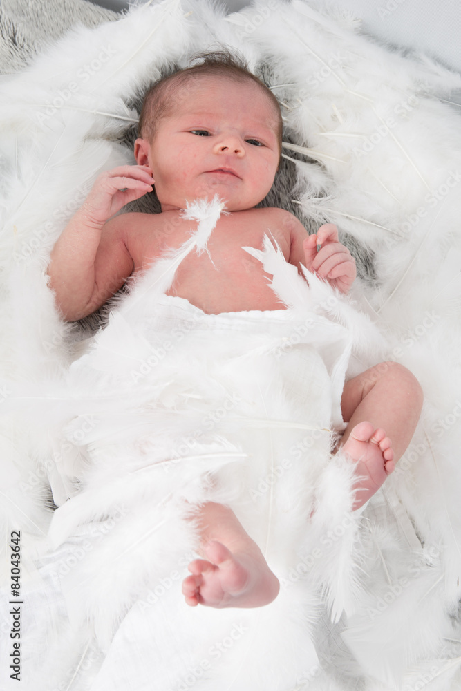 Newborn baby in white cotton and feathers Newborn baby in white cotton and feathers