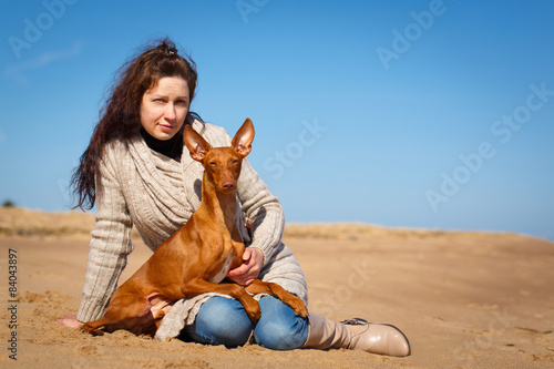 Cirneco dell'Etna dog photo