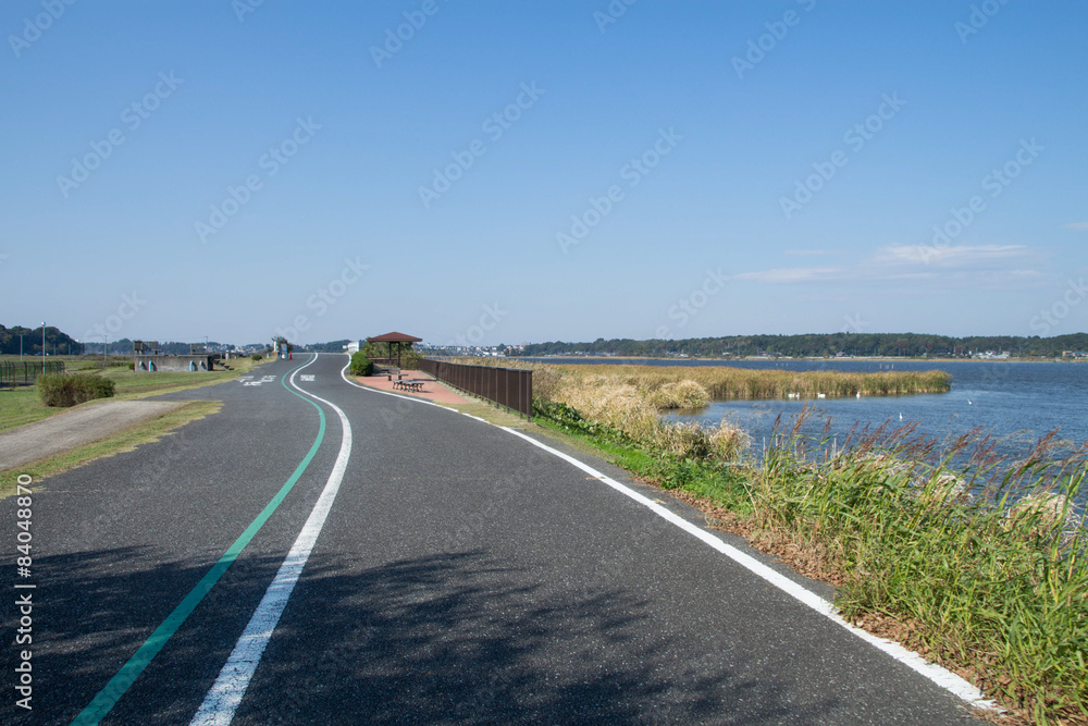 Fototapeta premium サイクリングロード