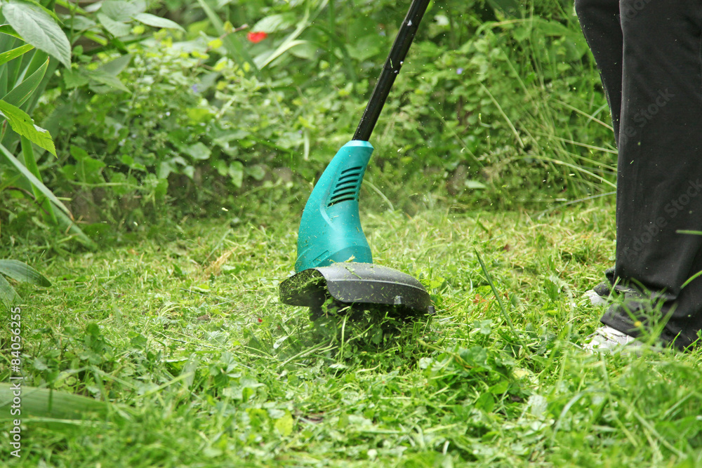 Fototapeta Taille de gazon avec un coupe-herbe