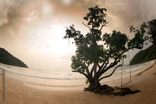 Tree and swings on beach.