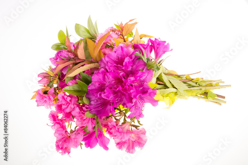 Flower bouquet with rhododendron flowers