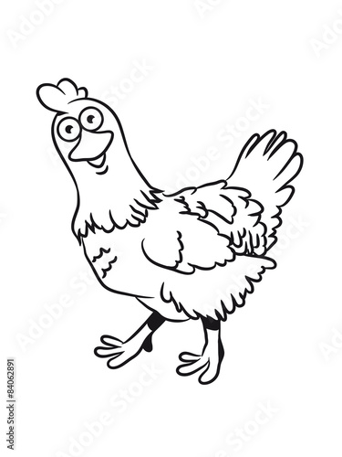 Chicken bird funny