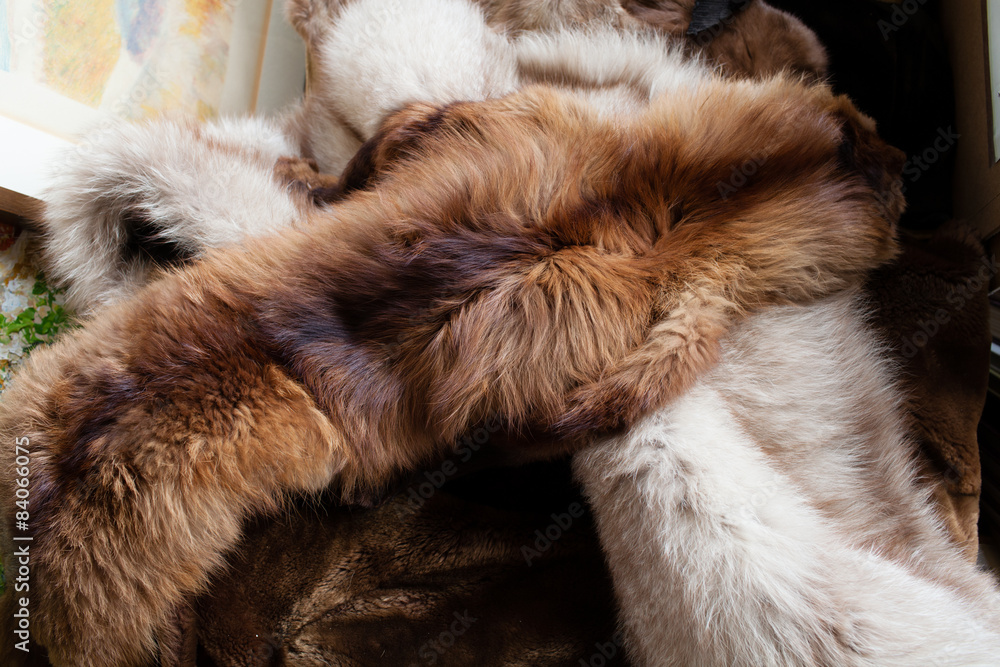 Obraz premium Brocante de Barcelone #012