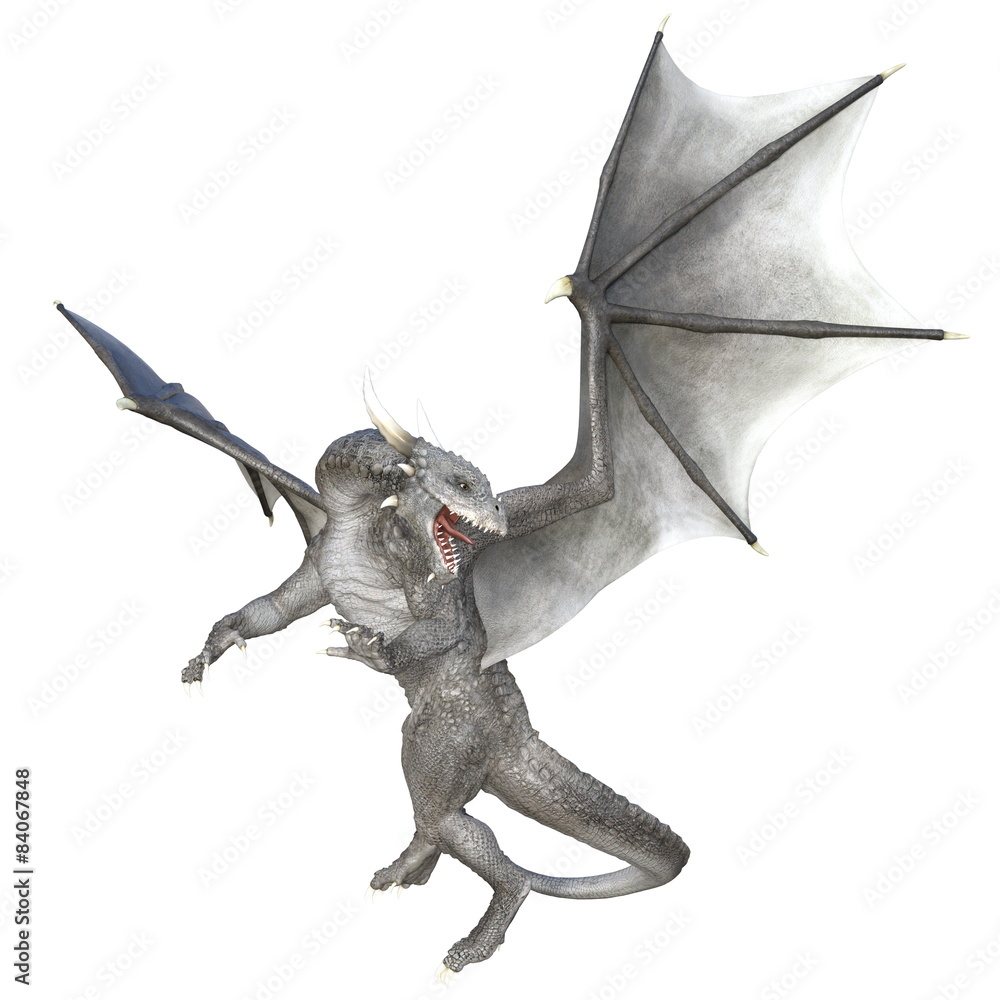 Obraz premium ドラゴン 