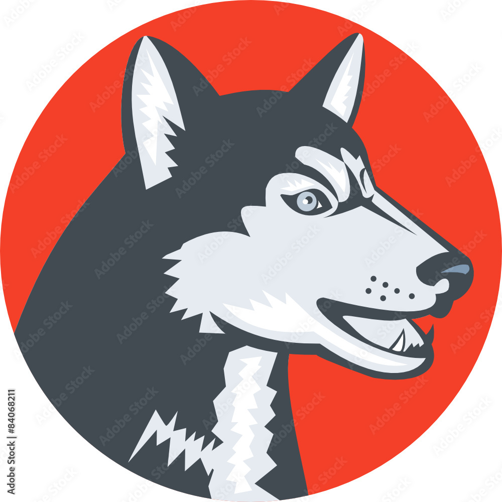 Obraz premium Siberian Husky Dog Head Circle Retro