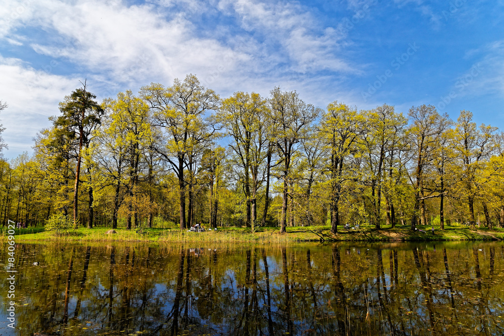 Fototapeta premium Landscapes Peterhof. Reflection in water