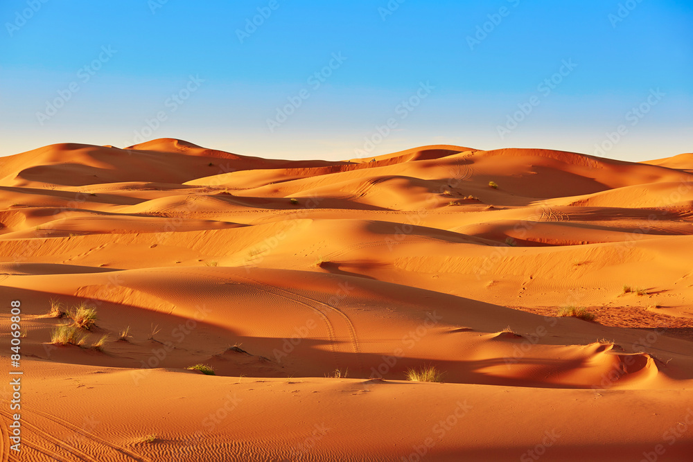 Sand dunes in the Sahara Desert - obrazy, fototapety, plakaty 