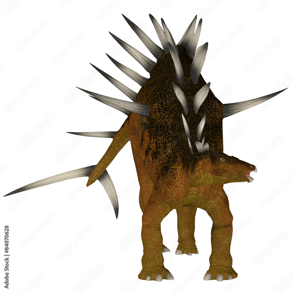 Fototapeta premium Kentrosaurus over White