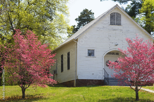 Little white church house and pink dogwoods.