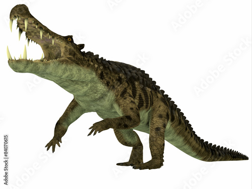 Kaprosuchus over White