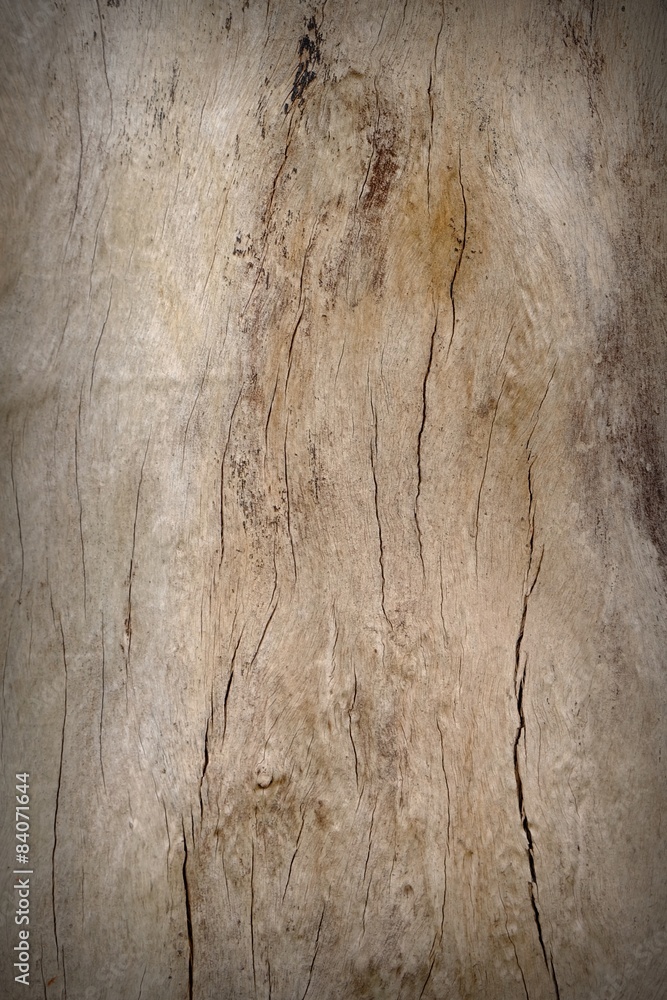 Fototapeta premium Wooden texture