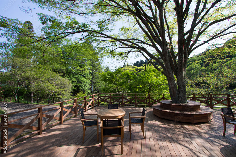 Obraz premium テラス席