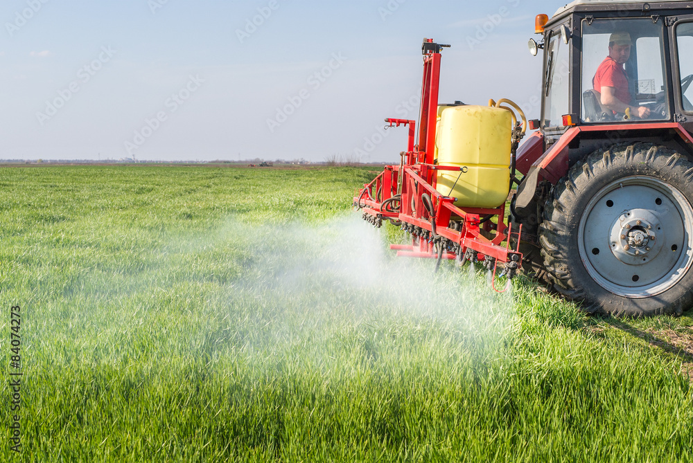 Obraz premium Tractor spraying wheat field