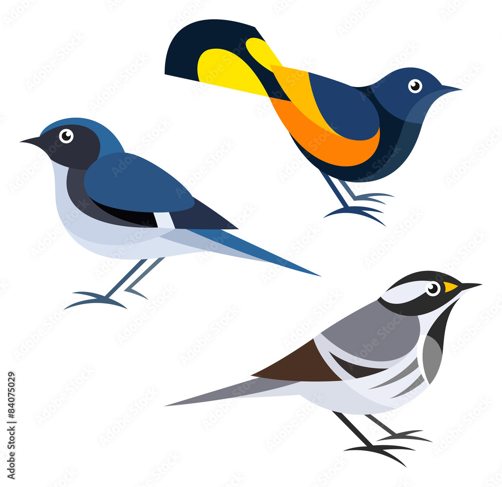 Fototapeta premium Stylized Birds - Warblers