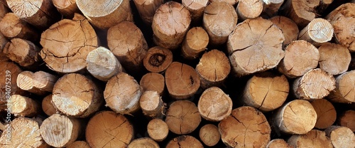 Woodpile From Big Logs For Forestry Industry