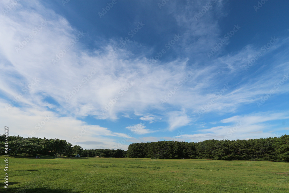  夏の空