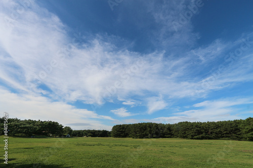  夏の空