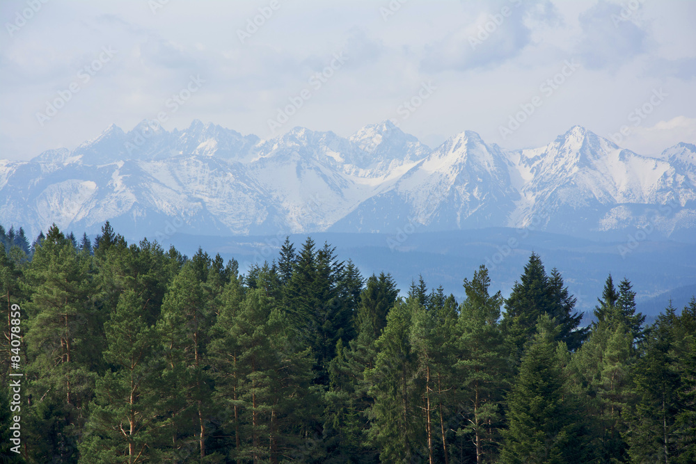 Tatra-spring landscape