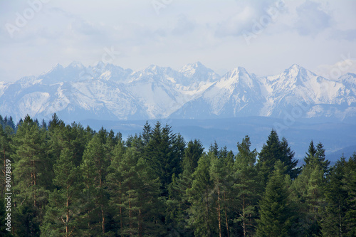 Tatra-spring landscape