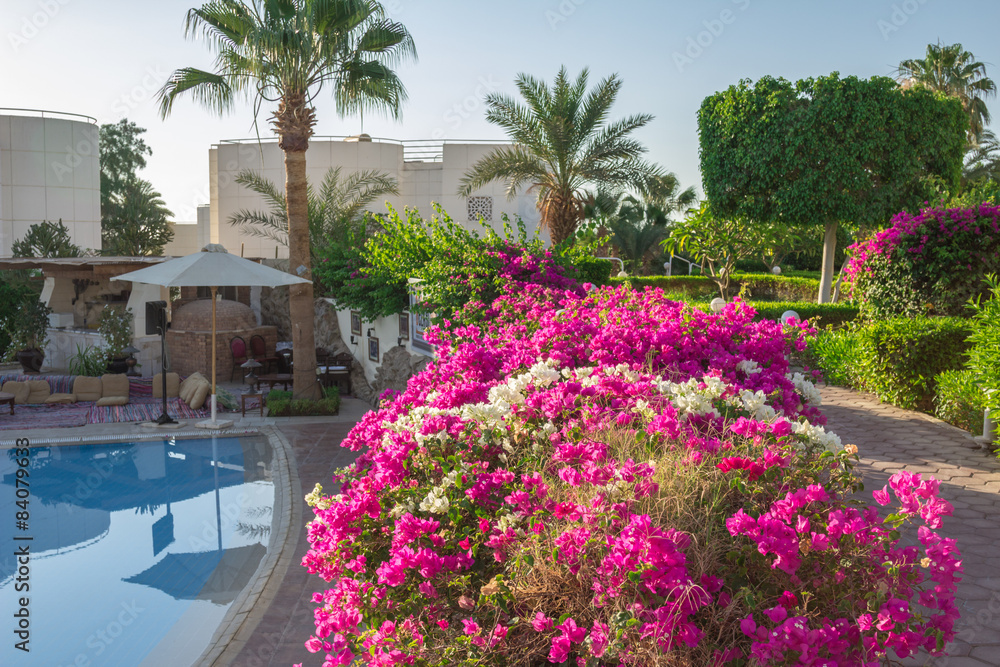 Obraz premium The pool