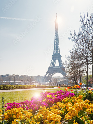 Eiffel Tower with flowers in the foreground. Paris, France. Filt photo