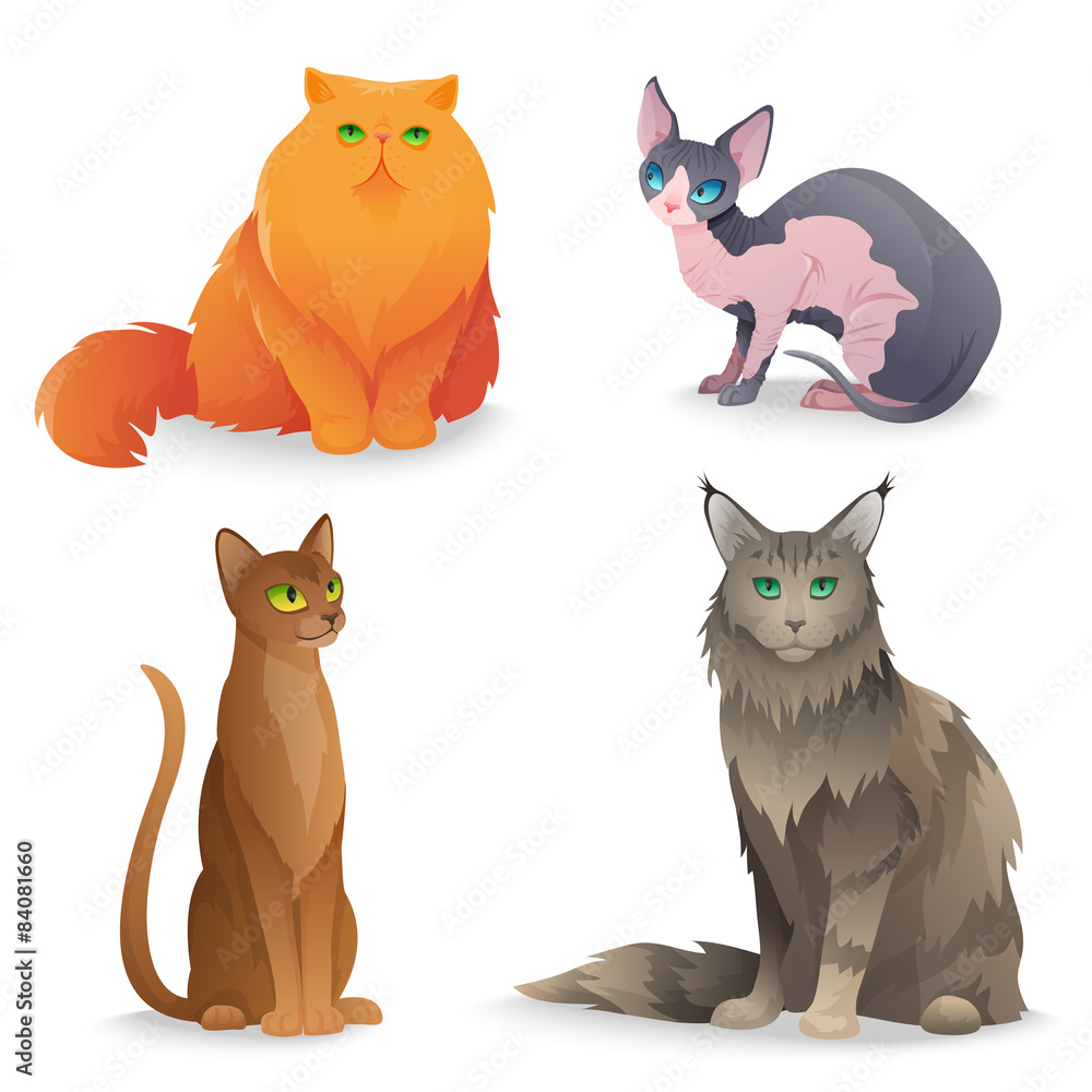 Cat Breeds set Cat Breeds set