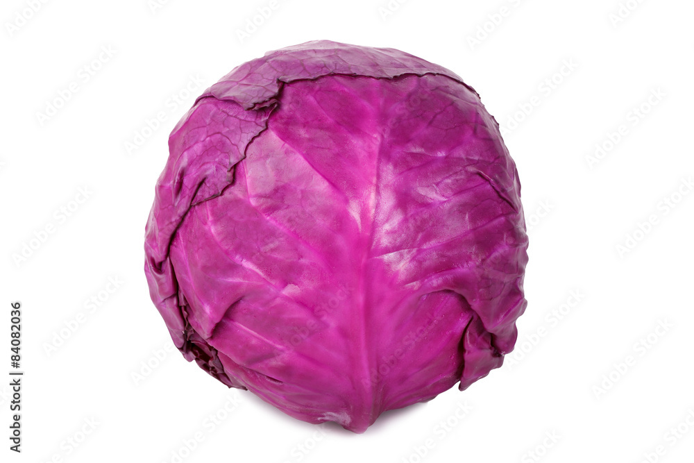 red cabbage on a white background red cabbage on a white background