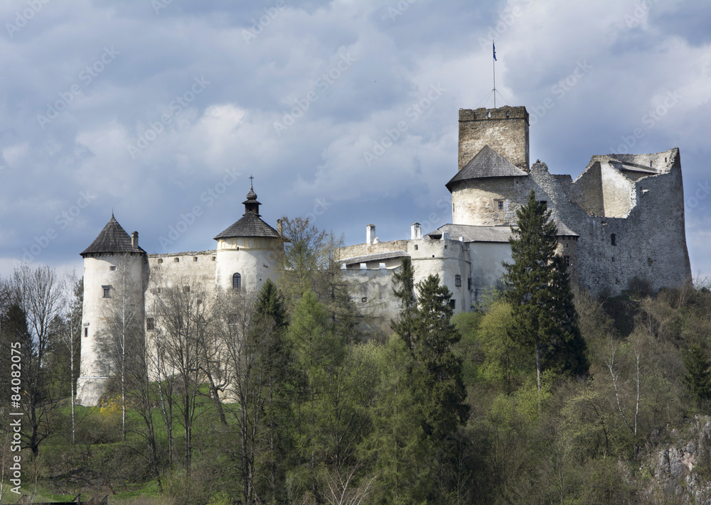 castle in Nidzica castle in Nidzica