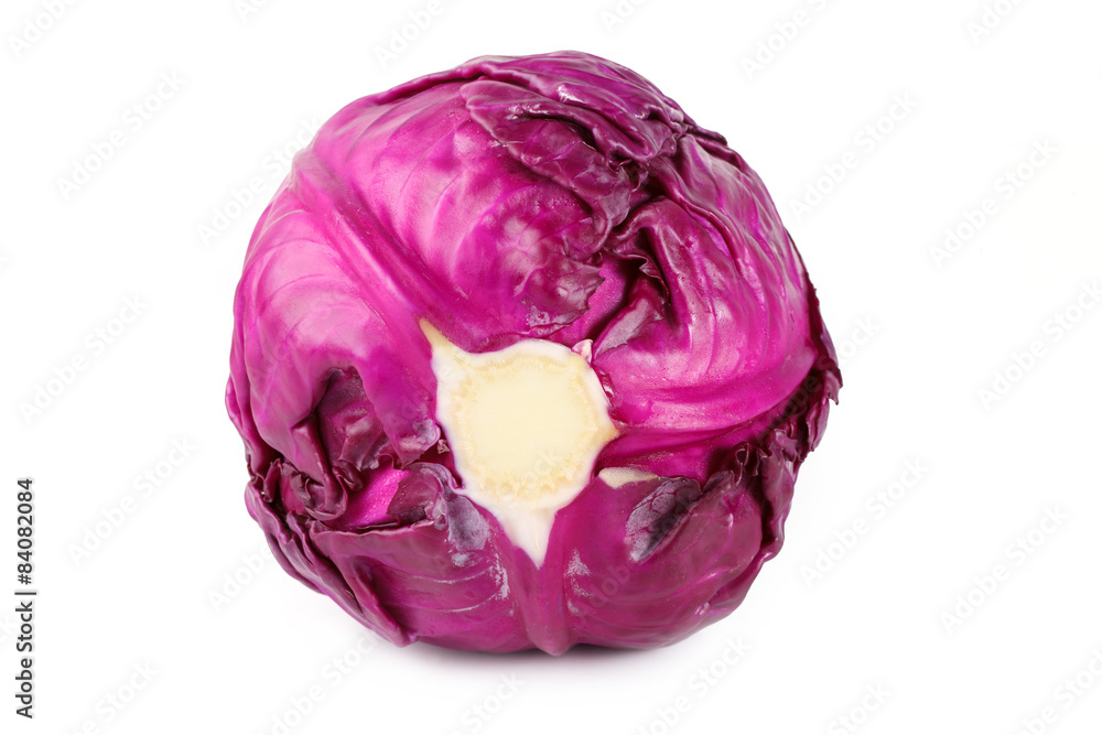 red cabbage red cabbage
