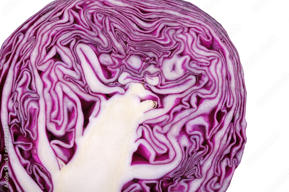 Fototapeta premium red cabbage