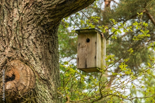 Birdhouse for birds on the tree © andriano_cz
