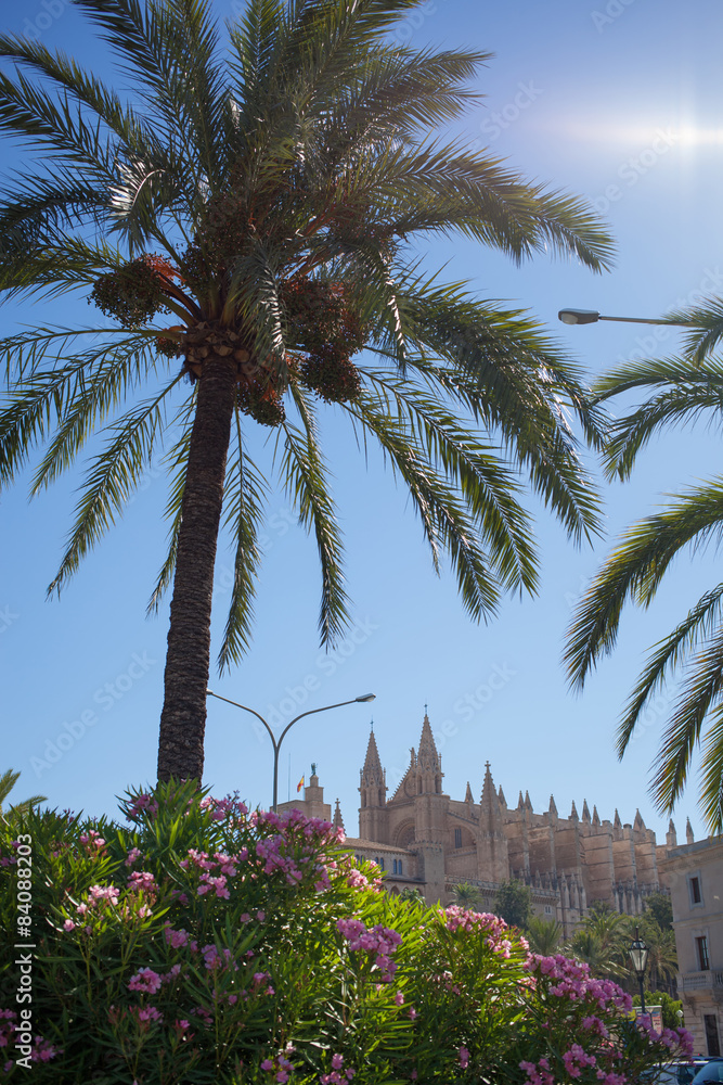 The Cathedral of Santa Maria in Palma de Mallorca