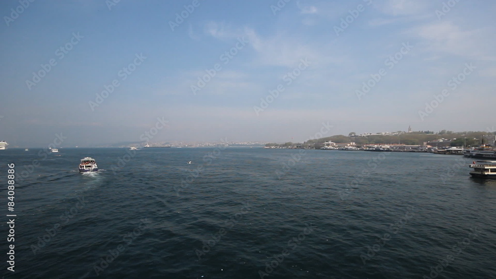 sea gull and landscape Golden Horn in Istanbul. Turkey sea gull and landscape Golden Horn in Istanbul. Turkey