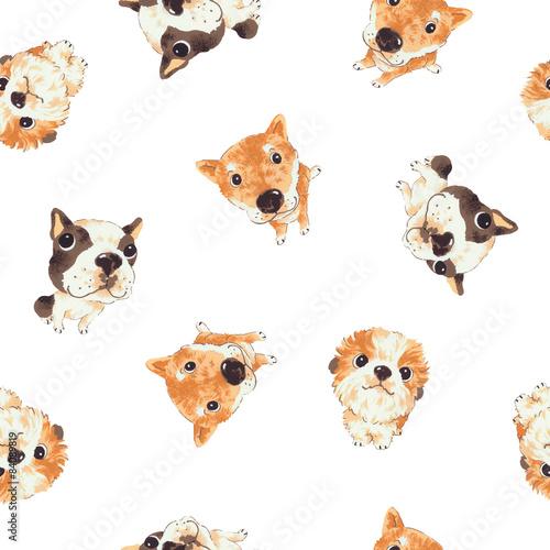 犬のパターン