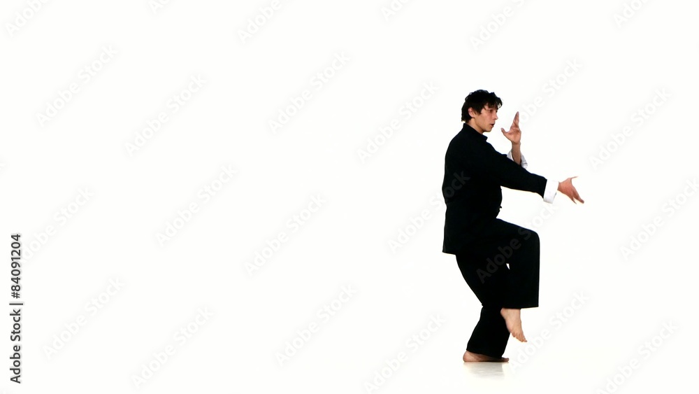 wushu, kungfu Man in sportswear performing a kick wushu, kungfu Man in sportswear performing a kick