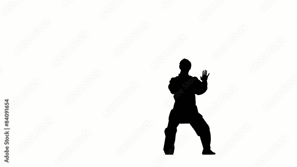 young karate or taekwondomakes rack on a white background young karate or taekwondomakes rack on a white background