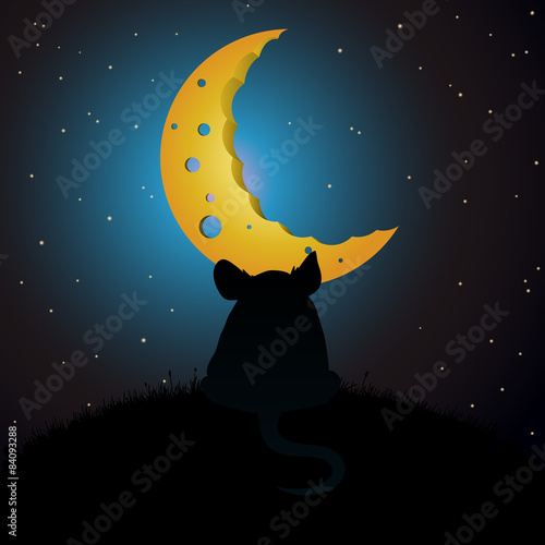 Mouse looking at cheese moon