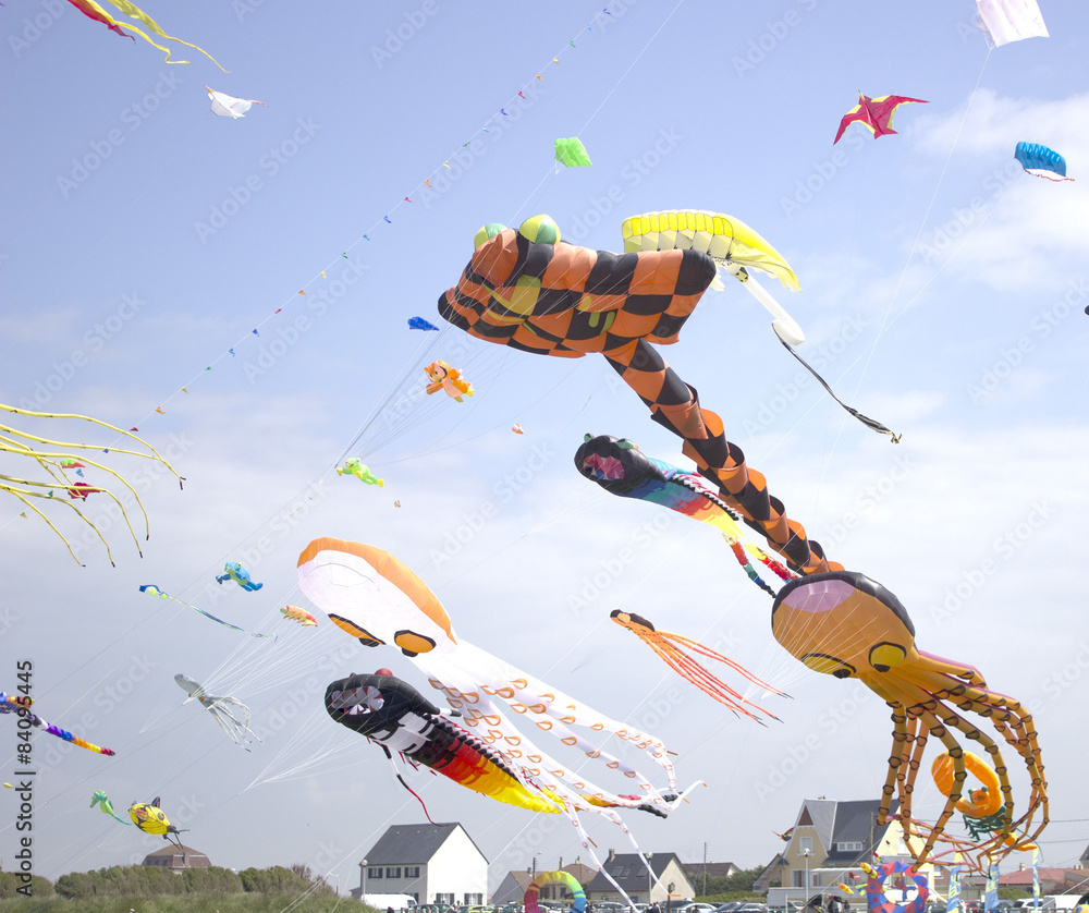 Naklejka premium cerf-volant