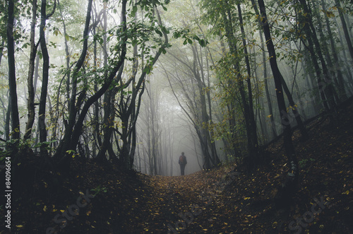 man on spooky forest path